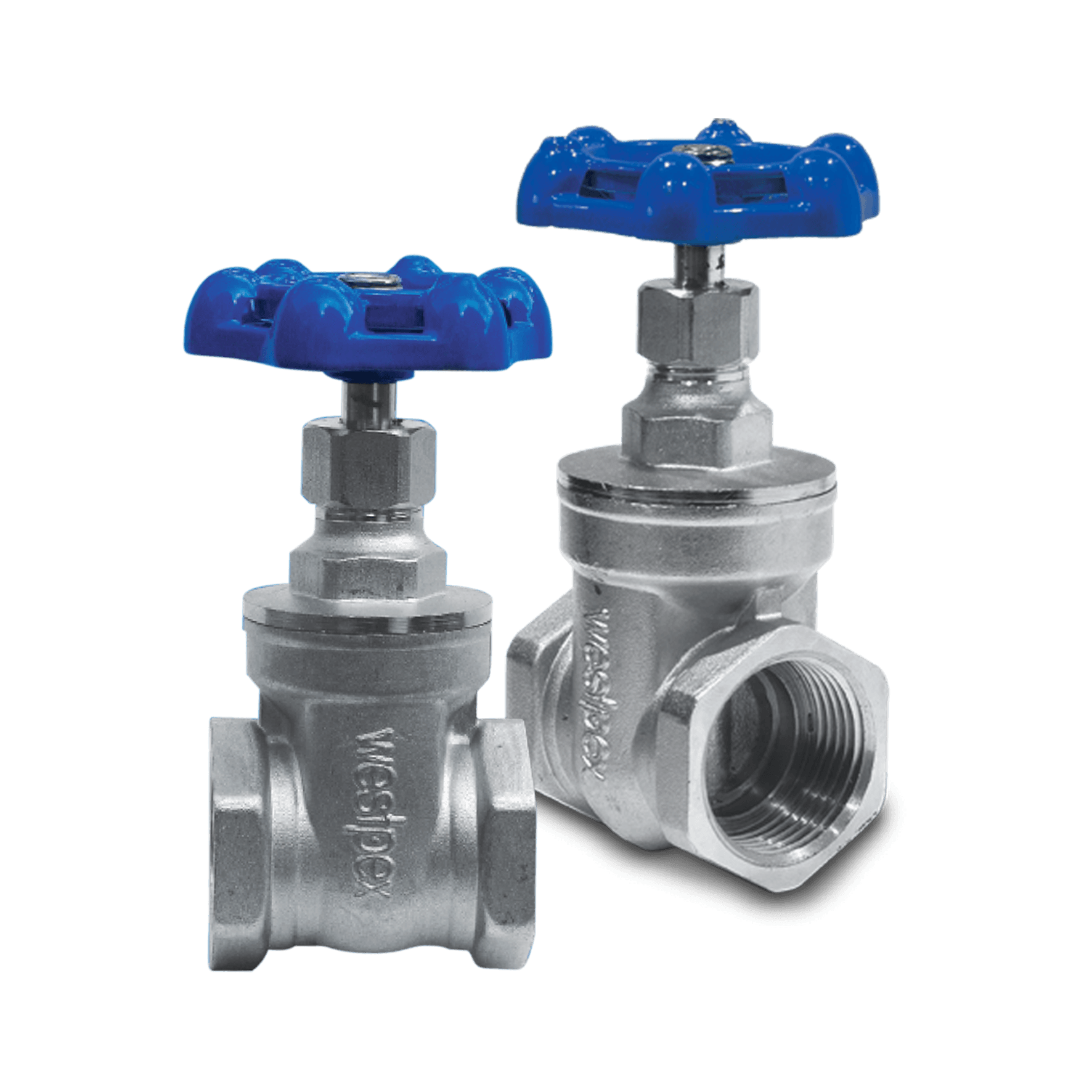 Gate valve dari westpex