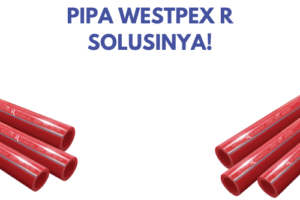 PIPA WESTPEX R