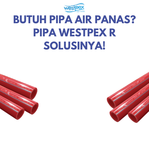 PIPA WESTPEX R