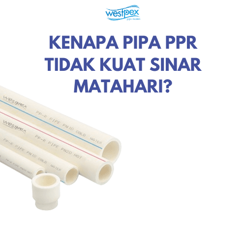 PIPA PPR WESTPEX