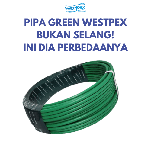 PIPA GREEN WESTPEX