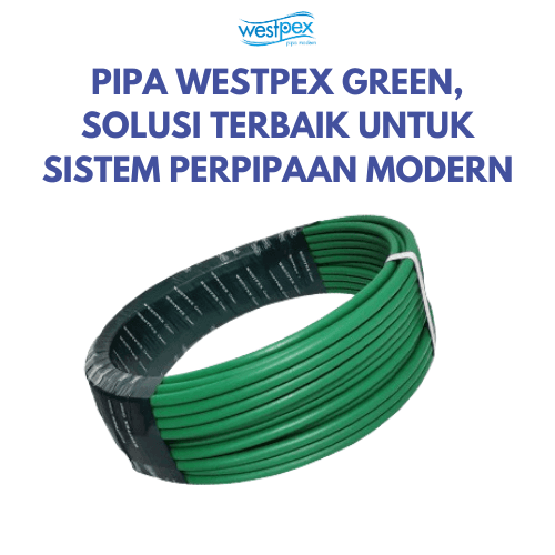 Pipa Green Westpex
