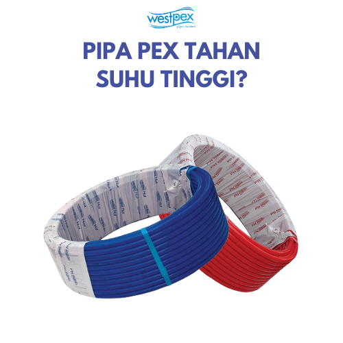 PIPA PEX