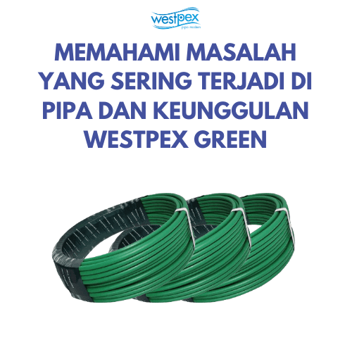 Pipa Westpex Green