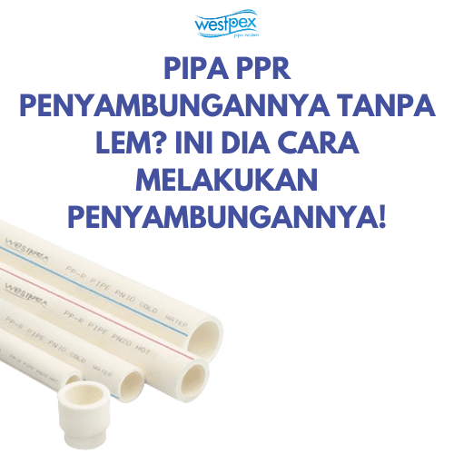 PIPA PPR WESTPEX