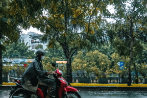 Waspada Musim Hujan